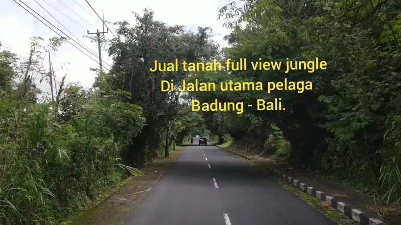 Tanah full view Jungle di Jalan utama pelaga Lingkungan asri dan sejuk