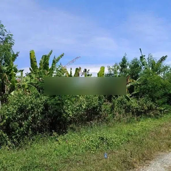 Tanah di Petitenget Seminyak, akses jalan 7 meter aspal