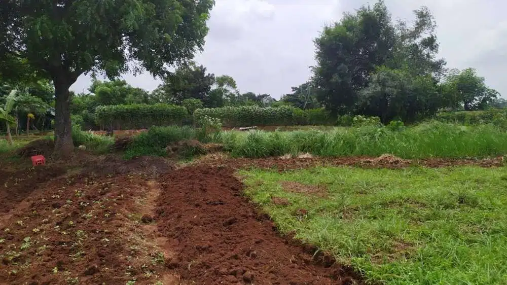 Dijual tanah kosong siap bangun di Komplek taman kebon Jeruk Interkon