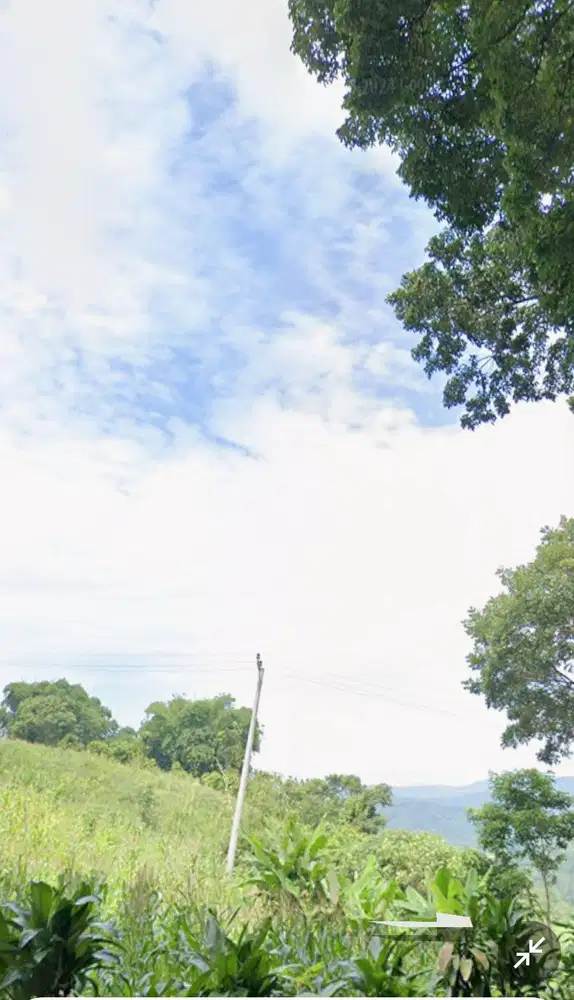 Dijual lahan luas lokasi Sukabumi