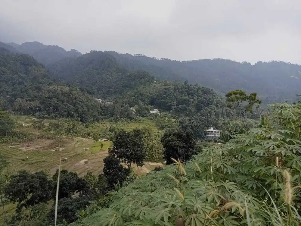 Lahan bagus cocok untuk villa