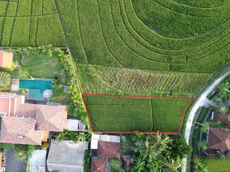 Tanah view terasering sawah di jalan pantai pasut, Tabanan