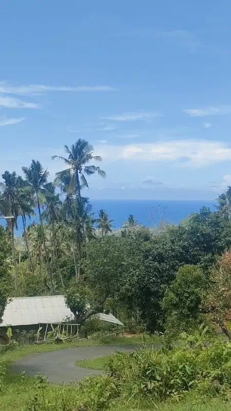 Tanah full view laut di lovina cocok untuk villa pribadi atau komersil