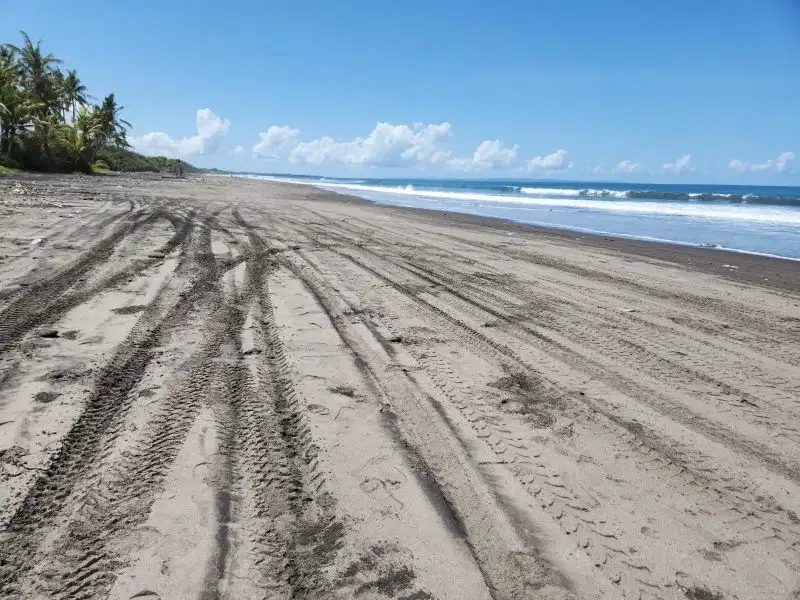 Tanah Los pantai Pasut di Tabanan, lingkungan villa mewah