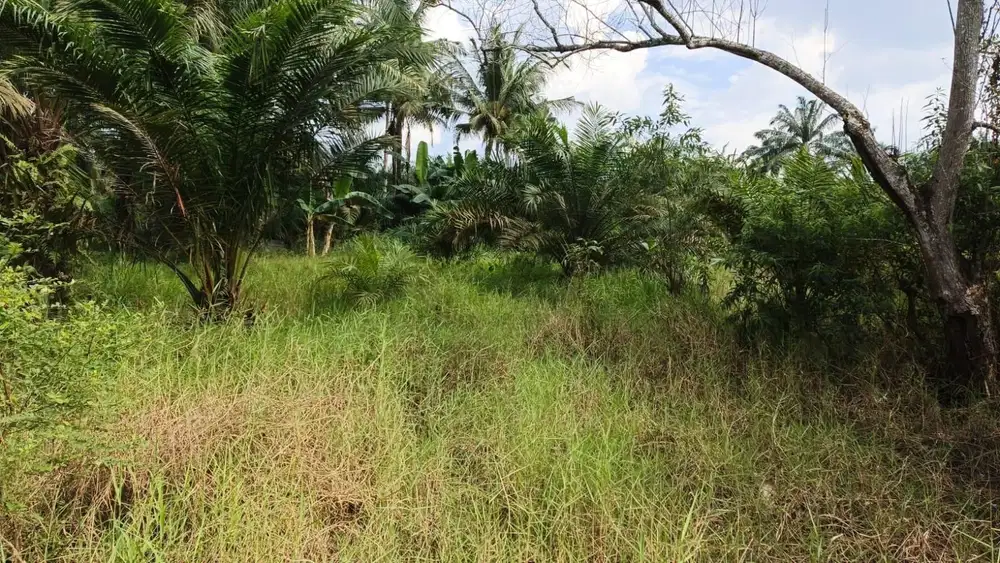 Dijual Tanah 5.113 m² – untuk Kavling di Air Joman, Asahan