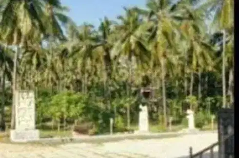 Dijual Tanah di Wee Rena, Sumba Barat Daya ( NTT )