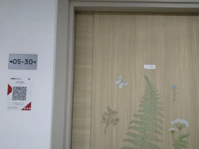 apt paradise mansion