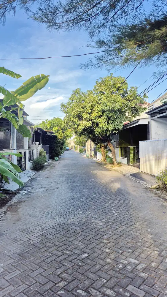 Grand Semanggi Residence, Wonorejo Rungkut Minimalis Modern Siap Huni