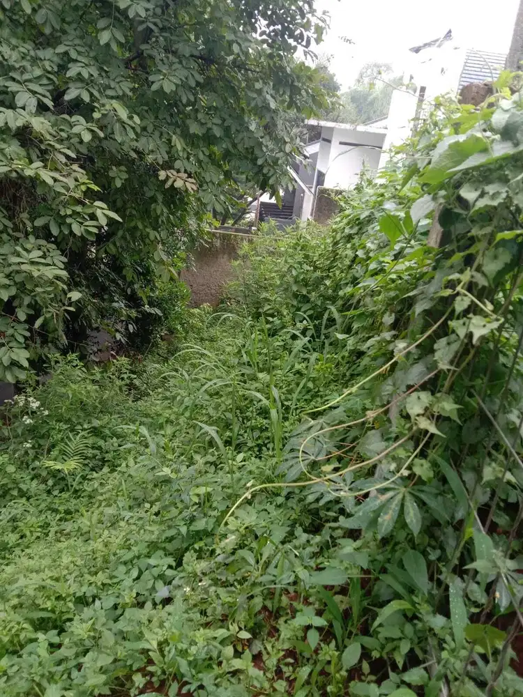 Dijual tanah di cigadung rancakendal bandung