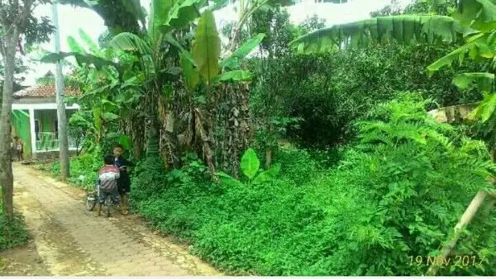 Tanah Matang Siap Bangun Di Cicalengka Milik Ptibadi