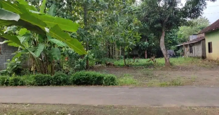 Dijual segera tanah sleman seyegan bagus