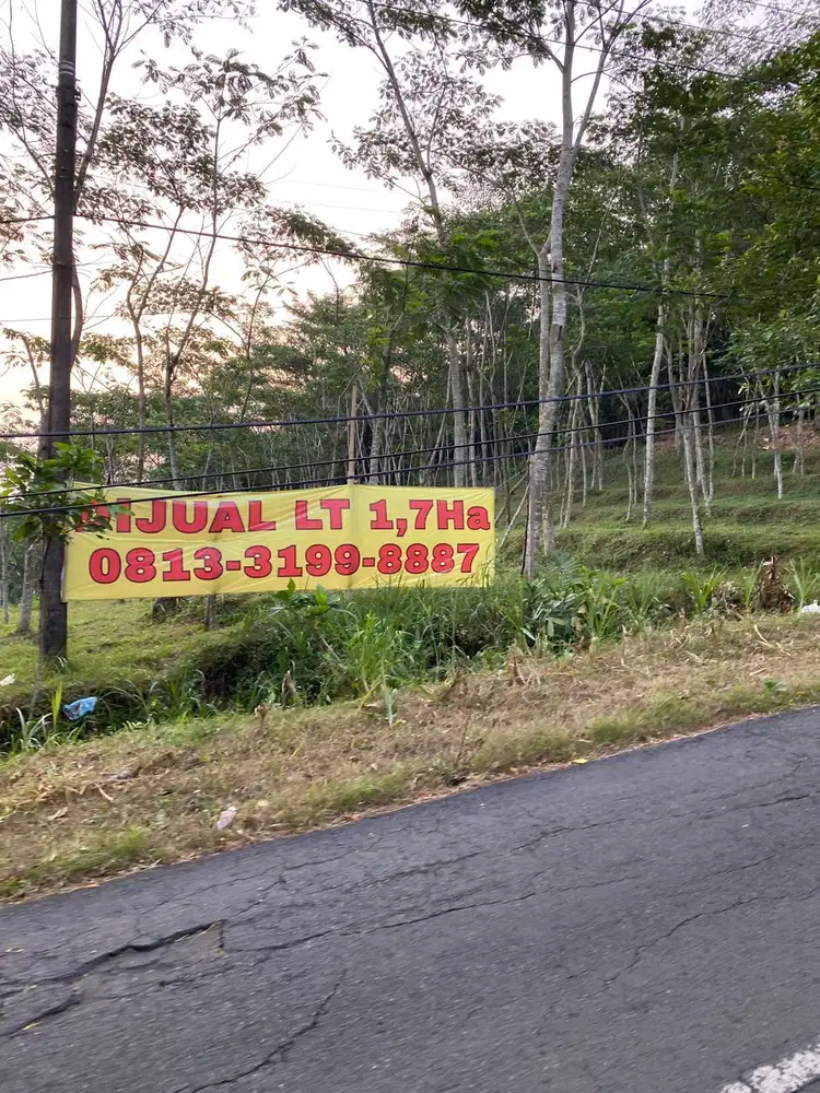 Dijual Tanah Luas 17.000 m2 di Jalan Rembangan Jember