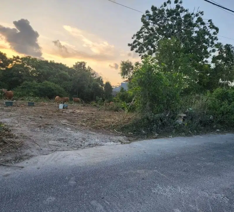 Tanah jalan utama Tukad dalem pantai Pandawa, lebar depan 30 meter