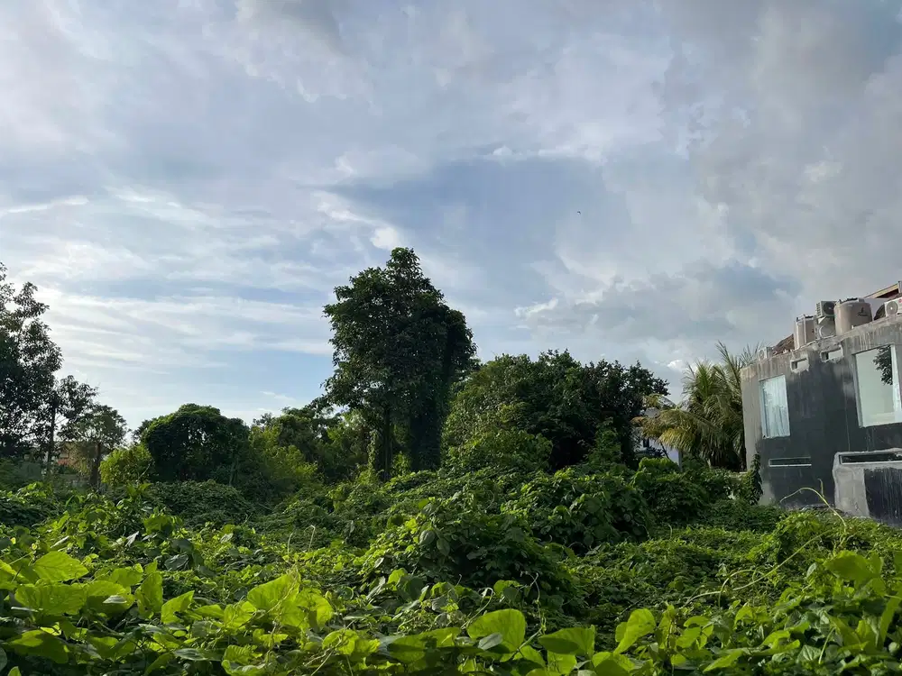 Tanah Komersial Berawa 500m ke Atlas Beach Club