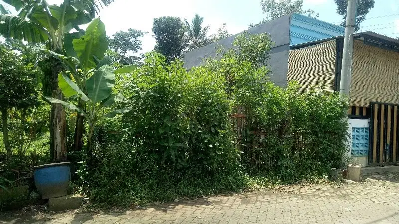 Tanah kavling dan kebun Ampeldento Pakis Malang