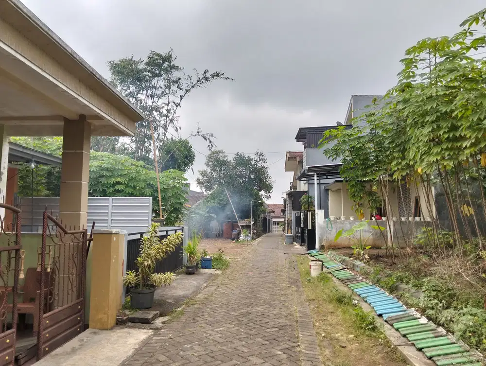 Tanah Tirtomoyo Pakis Belakang Araya Malang