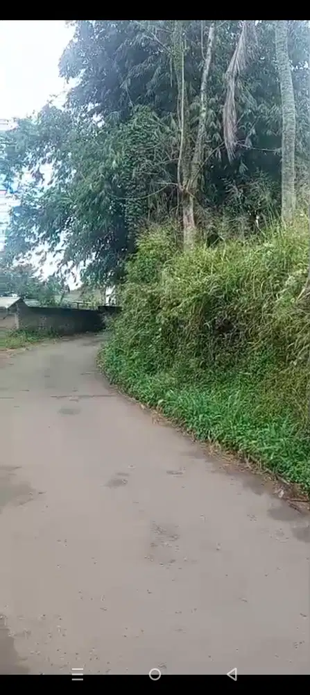 di jual lahan/tengah kebun di cugenang cianjur