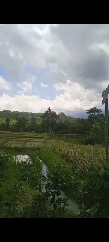 Lahan pertanian luas 3500 m2 harga 900 juta di Kedungudi, Mojokerto