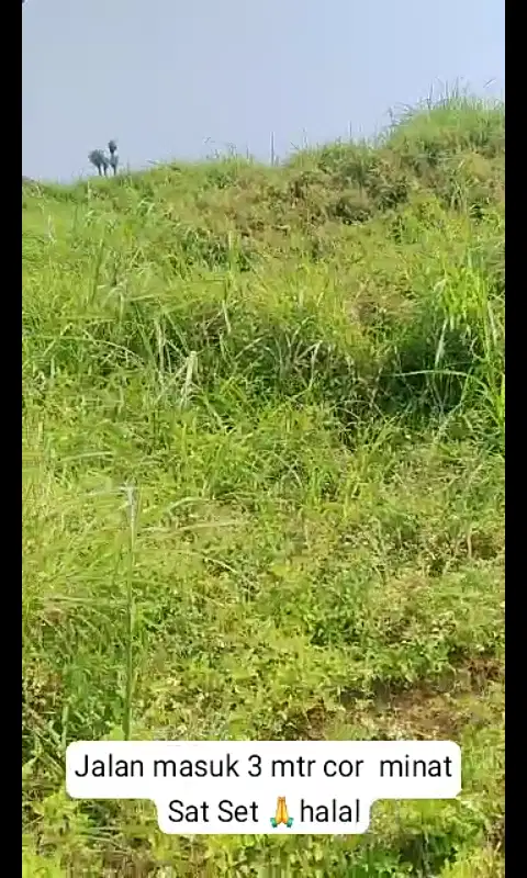 Lahan luas 7000 m2 harga 400 ribu per meter di Belik, Trawas,Mojokerto