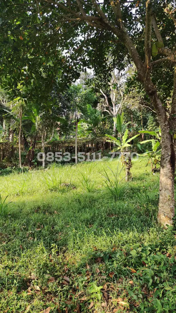 Tanah Dago Giri Harga Ekonomis View Cafe Lereng Anteng Masih Bisa Nego