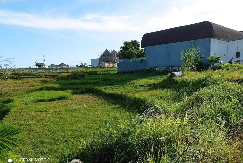 Tanah View Sawah Terasering Dekat Pantai Berawa Canggu