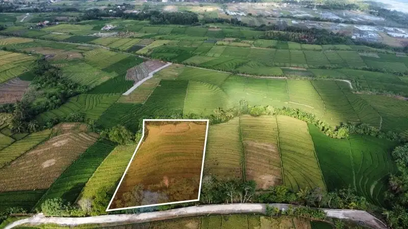 Tanah view hamparan sawah dan laut di Tabanan akses jalan 5 meter