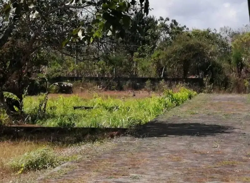 Tanah komersial dengan kontur datar di jalan pantai Balangan, Jimbaran