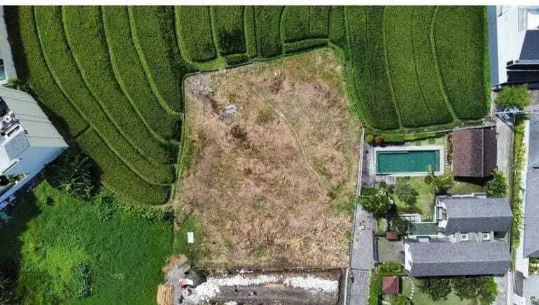 Tanah Full View Sawah Dekat Pantai Berawa Canggu Bali