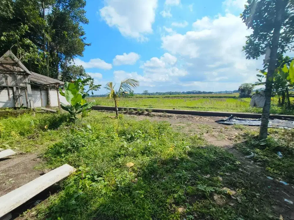 Tanah View Sawah 1000m2 Dekat Ubud Sentral
