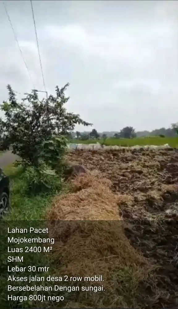 Lahan pertanian luas 2400 m2 harga 800 juta di Pacet,Mojokerto