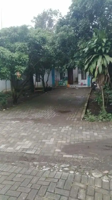 Kebun Durian Kelengkeng Bonus Rumah Tajinan Malang