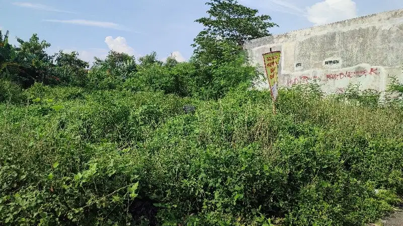 Dijual MURAH tanah pekarangan lokasi strategis dijl Sinduadi.