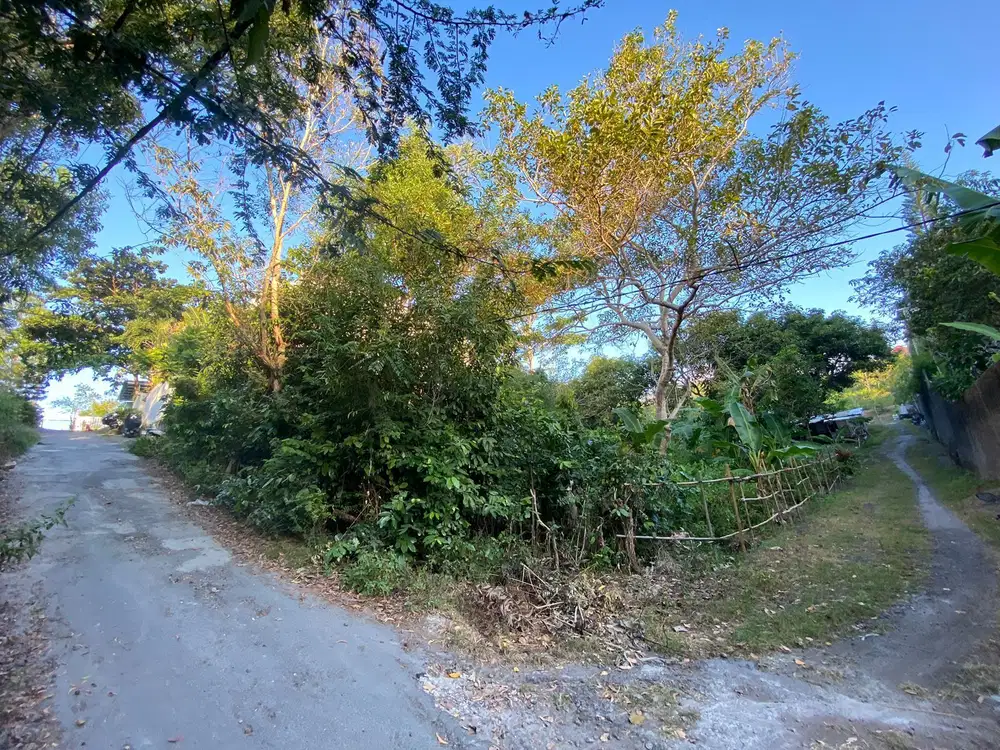 Tanah MURAH Jl Blong Bidadari Puri Gading Jimbaran