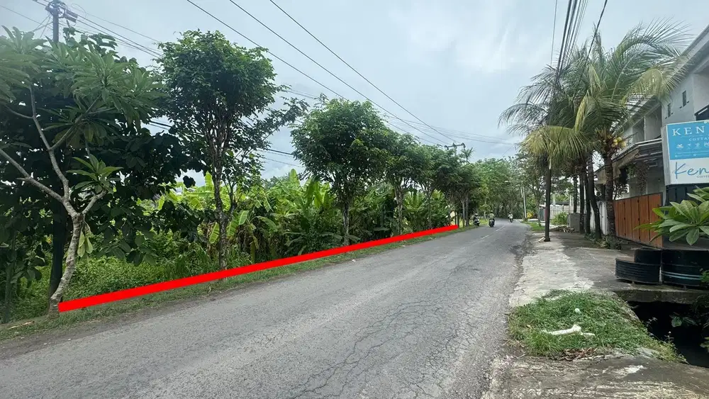 Tanah Area PREMIUM Jl Utama Tumbak Bayuh Canggu