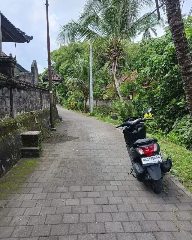 Tanah di Ubud, dekat dengan Resort mewah, akses jalan paving