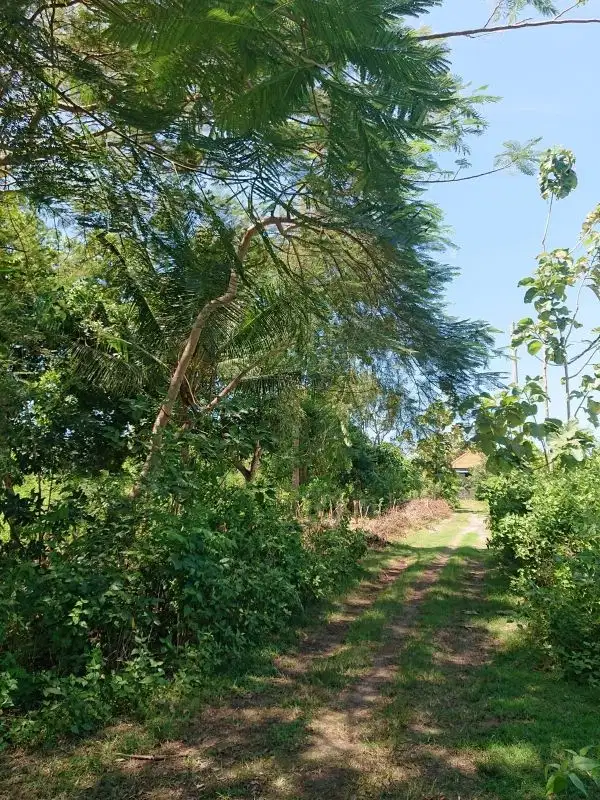 Tanah Eksklusif di Nusa Dua Bali, Cocok untuk Investasi