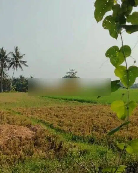 Tanah Jl Sawah Indah, Sentral Ubud, View Sawah Cocok Komersial/Pribadi