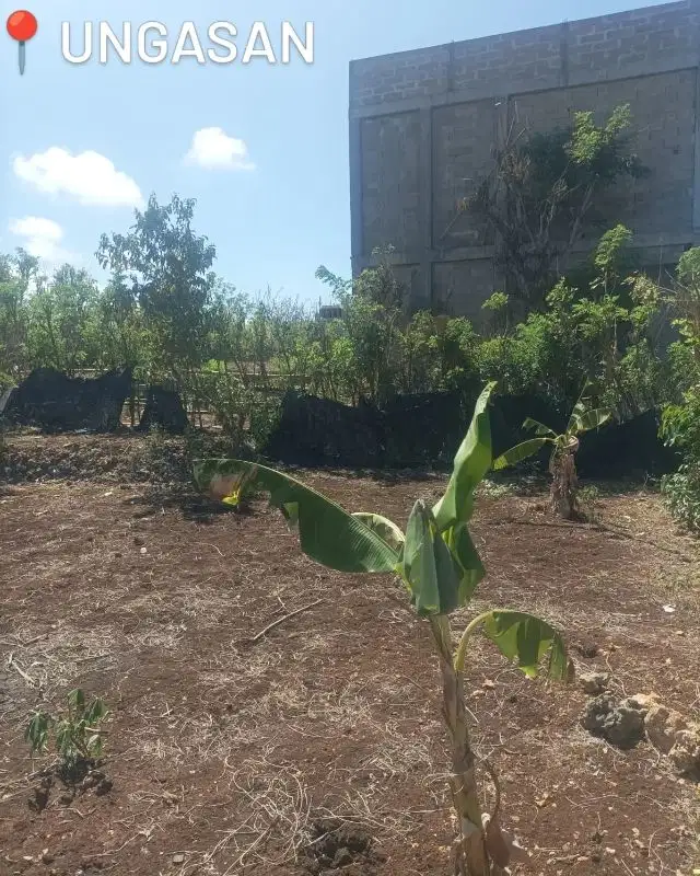 Tanah premium siap bangun di Ungasan, 300 meter ke pantai