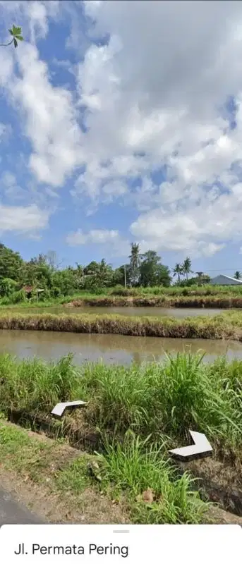 Tanah Indah View Sawah di Gianyar, Cocok untuk Villa dan Investasi
