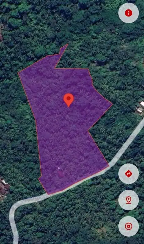 Tanah full view jungle dan sunset, ada sumber mata air