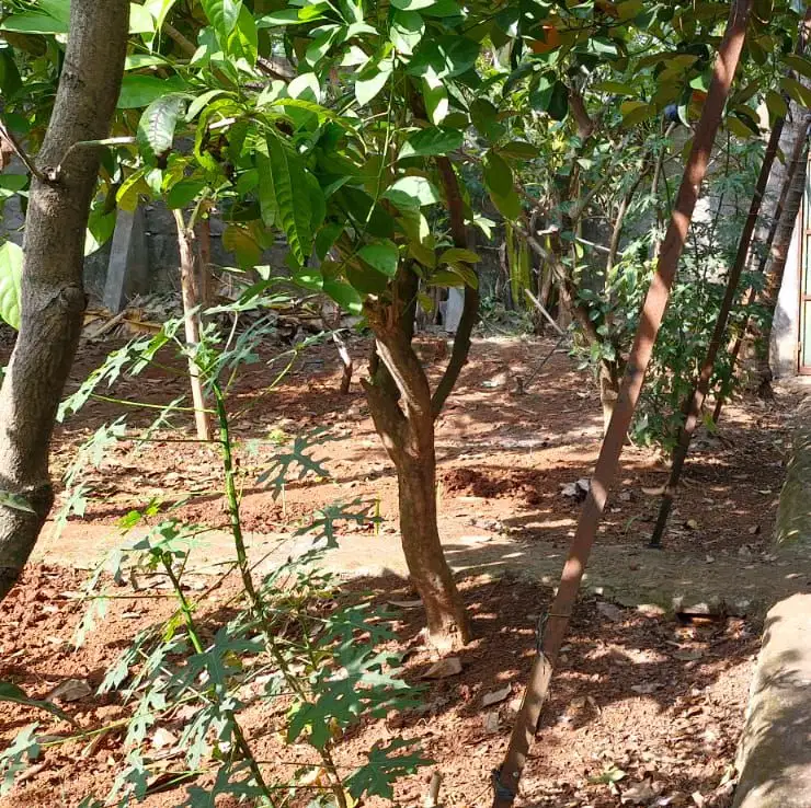 Dijual Kavling Gandeng 3 Murah BSD city