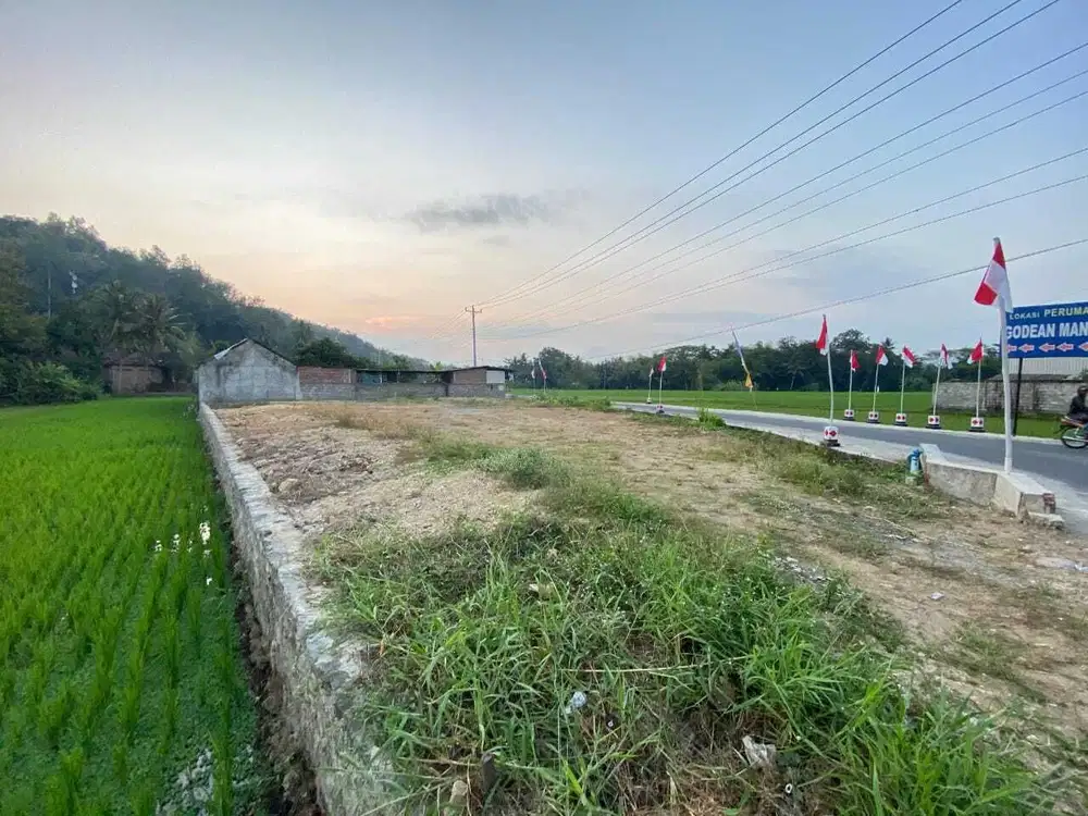 Di jual tanah pekarangan view sawah
