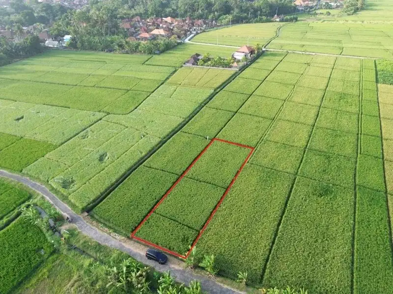 Tanah dekat pantai pasut Tabanan, view sawah dan pantai