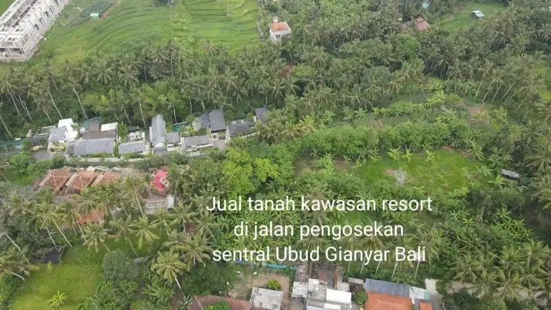Tanah los tebing sungai di sentral Ubud, kontur 85 persen datar