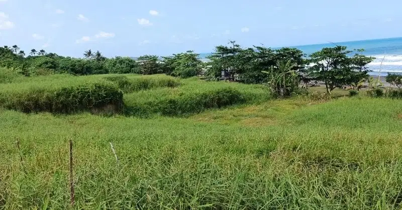 Tanah kawasan Resort depan pantai Yeh Gangga di Tabanan
