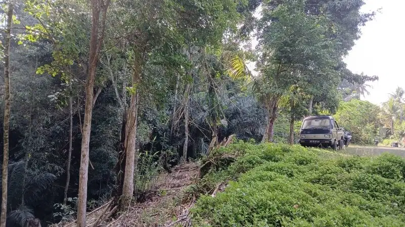 Tanah di Bakbakan Gianyar Bali, View Jungle, SHM Lengkap