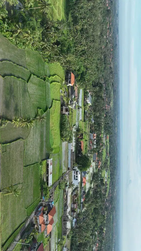 Tanah Siap Bangun View Sawah di Pejeng Ubud