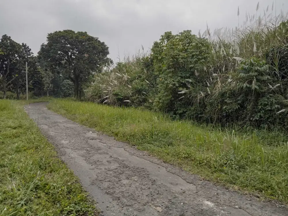 Dijual lahan disentul rainbow hills