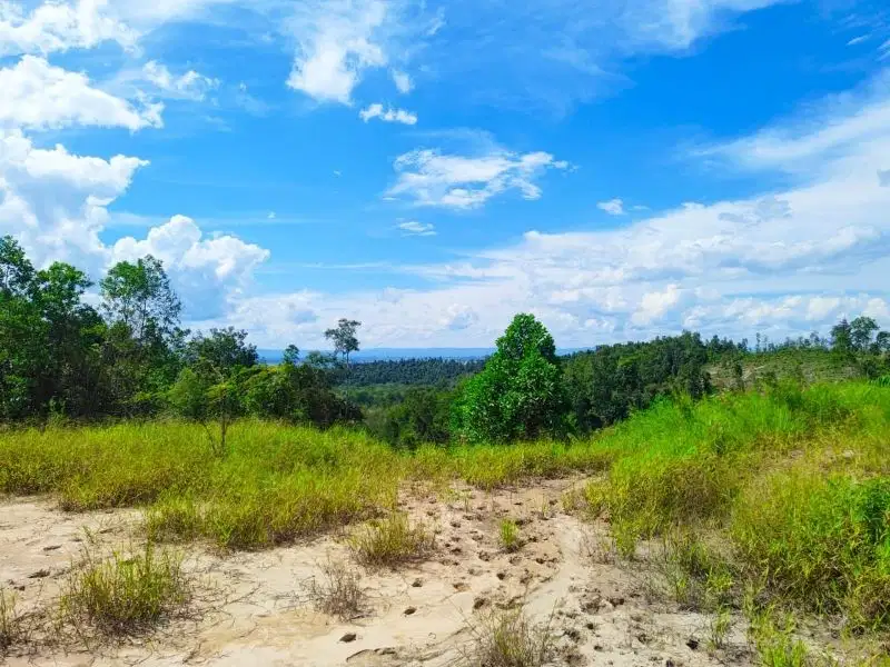 Tanah Kilo 13 pulau balang