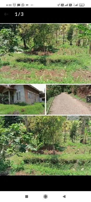 Dijual BU tanah kebun luas 740m dan rumah di sadu soreang